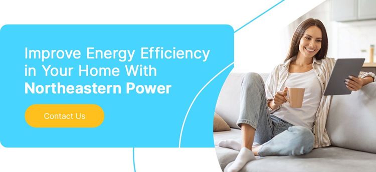 Maximizing Home Energy Efficiency